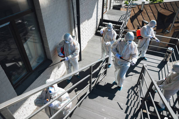 Best Commercial Mold Inspection  in Milford, PA