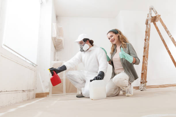 Best Forensic Mold Investigation  in Milford, PA